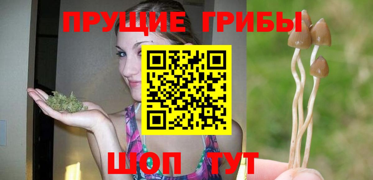 Россошь  Галлюциногенные грибы мицелий  Вход с VPN  Галлюциногенные грибы Cubensis 